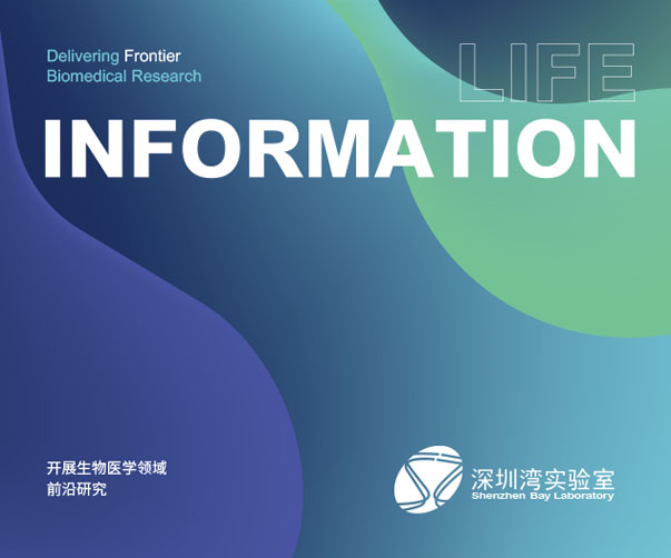 掛耳咖啡包裝設(shè)計如何體現(xiàn)品牌的獨特價值？